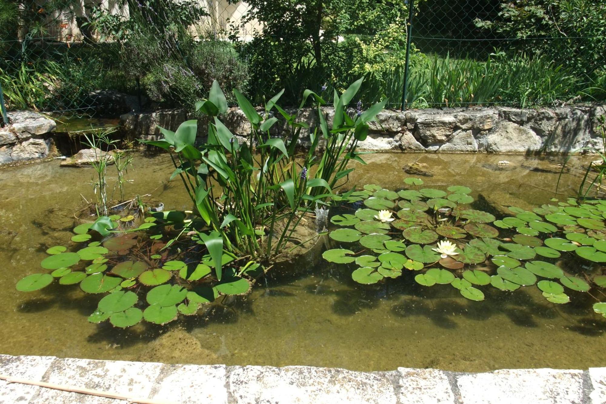 Gite La Paillote مونتارو المظهر الخارجي الصورة